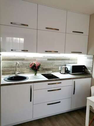 Апартаменты I&D New Cosy Modern Studio Клайпеда Апартаменты с 1 спальней-33